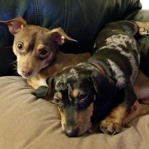 Meet your Posher, Christopher